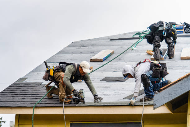 Professional Roofing technician working in Athelstane, WI